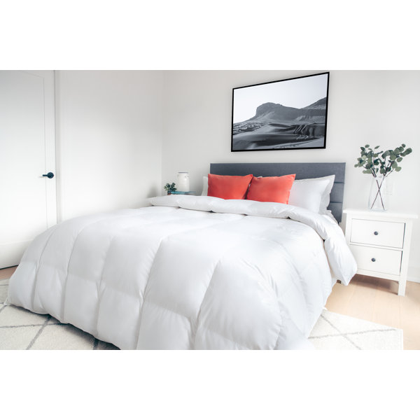 Alwyn Home Summer 575 Loft White Duck Down Comforter & Reviews Wayfair